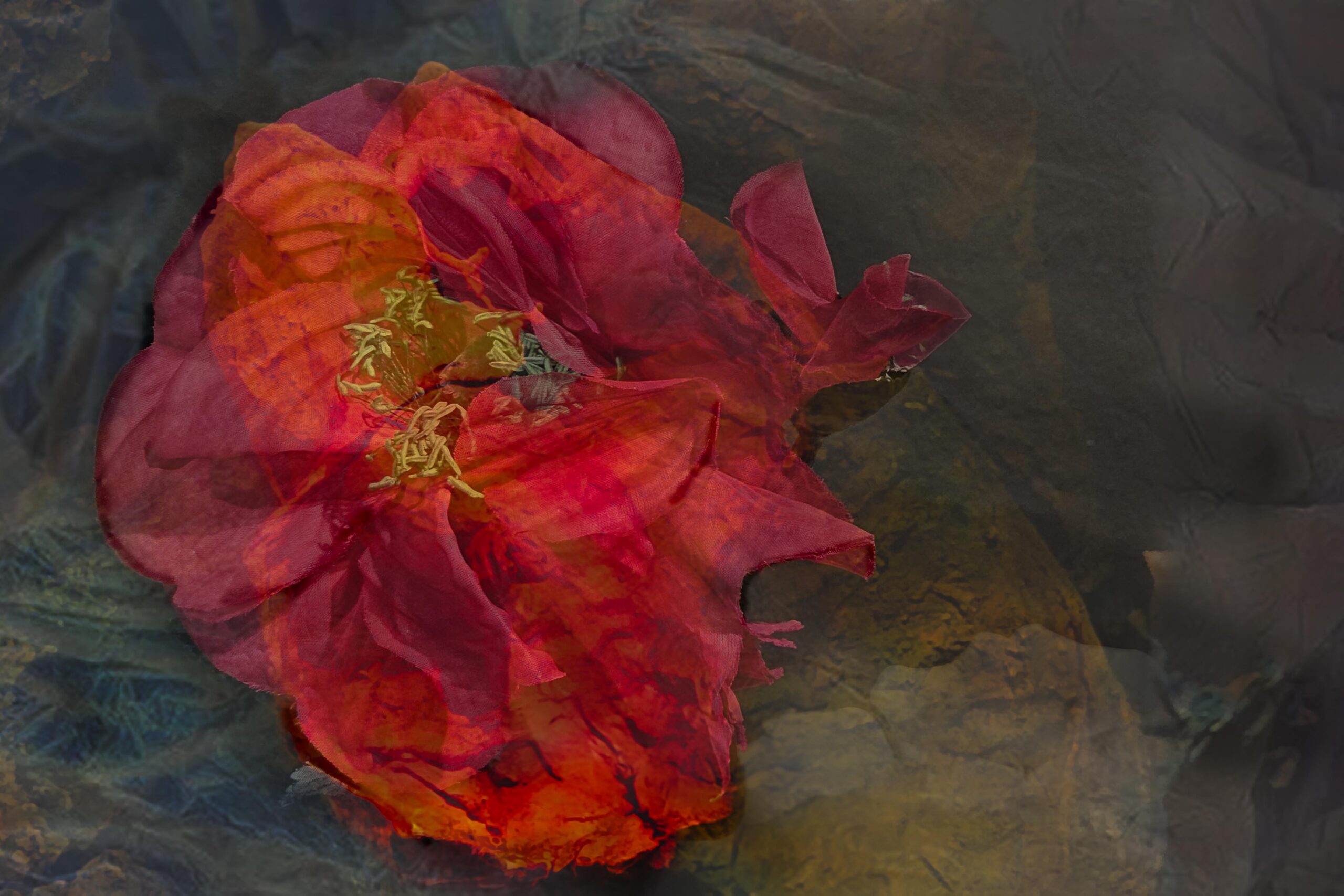 Halina Hildebrand, Desiderium, 2025, Fine Art Print auf Baryta auf Alu Dibond, 70 x 105 cm